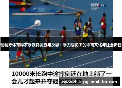 葡萄牙体育界家暴案件调查与反思：暴力阴影下的体育文化与社会责任